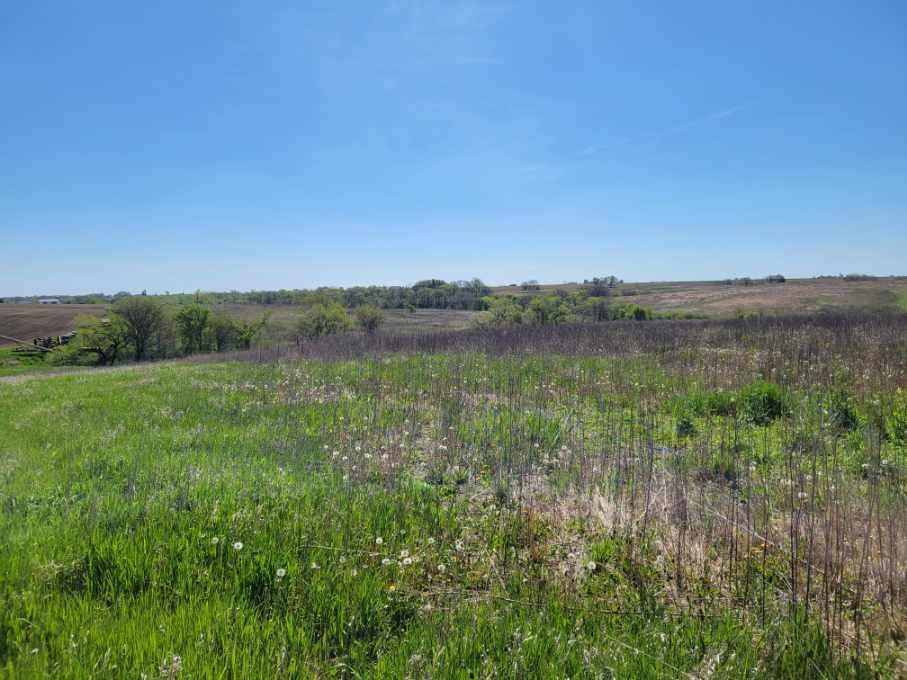 RR Millstream Avenue, Winterset, Iowa image 4