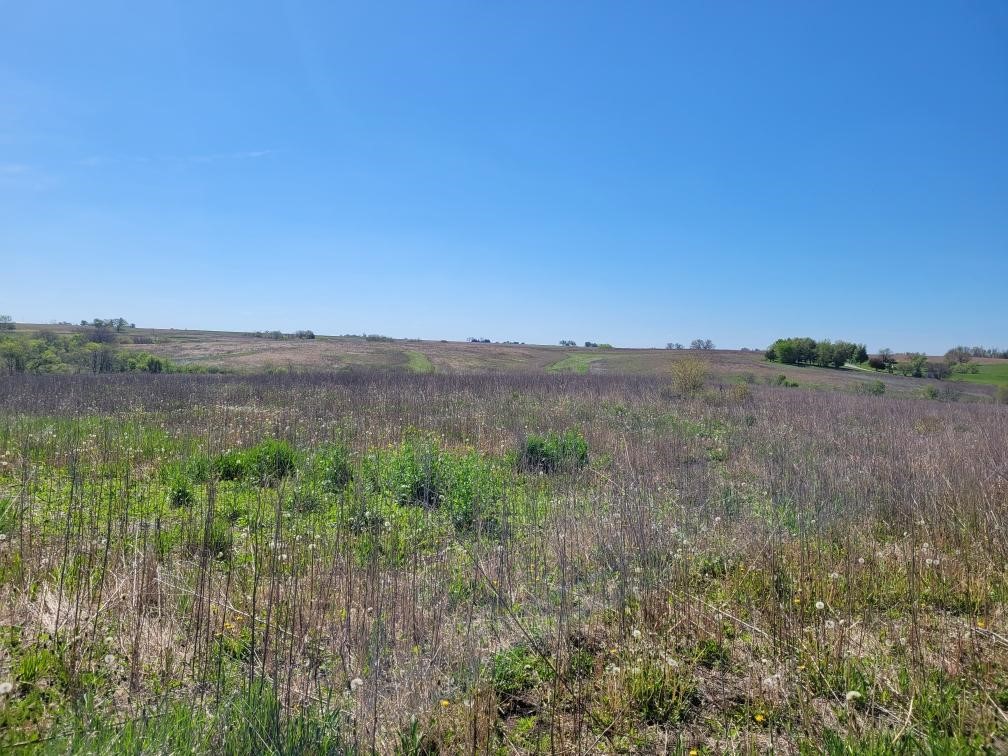 RR Millstream Avenue, Winterset, Iowa image 2
