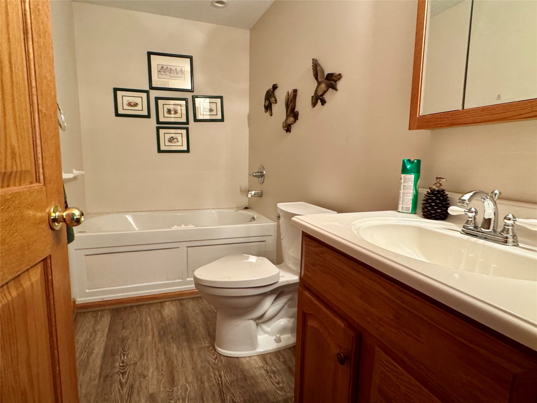 3078 Southshore Drive, Ellston, Iowa image 20