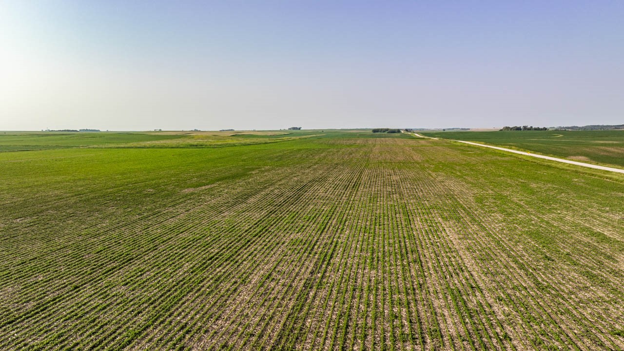 TBD Quail Road, Bagley, Iowa image 5