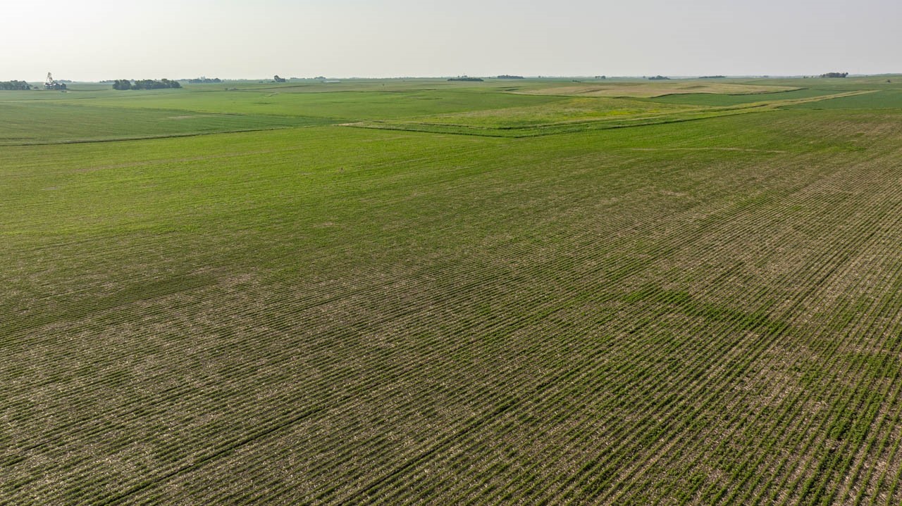 TBD Quail Road, Bagley, Iowa image 19