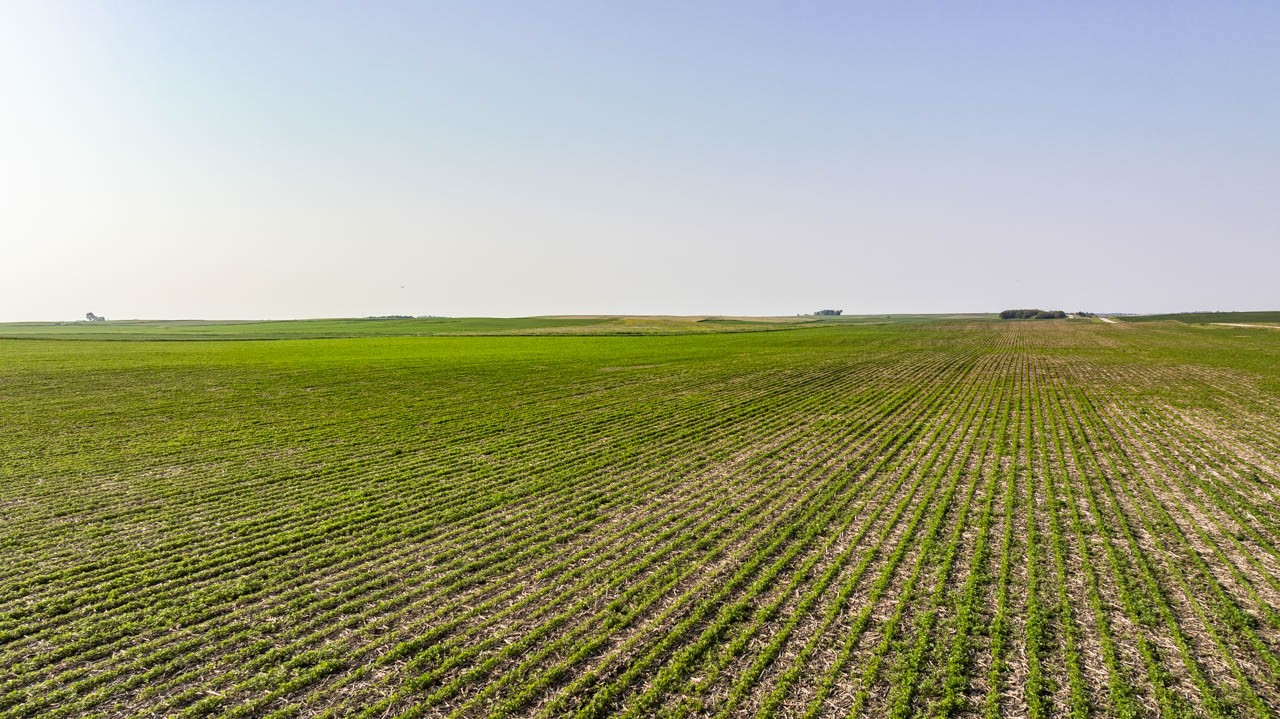 TBD Quail Road, Bagley, Iowa image 7