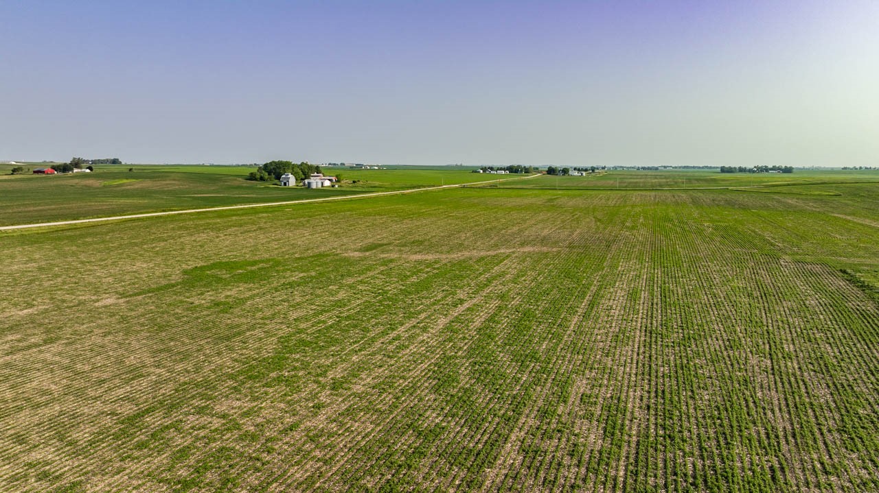 TBD Quail Road, Bagley, Iowa image 14