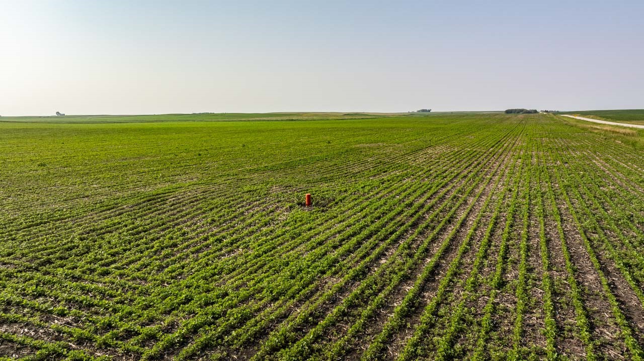 TBD Quail Road, Bagley, Iowa image 18