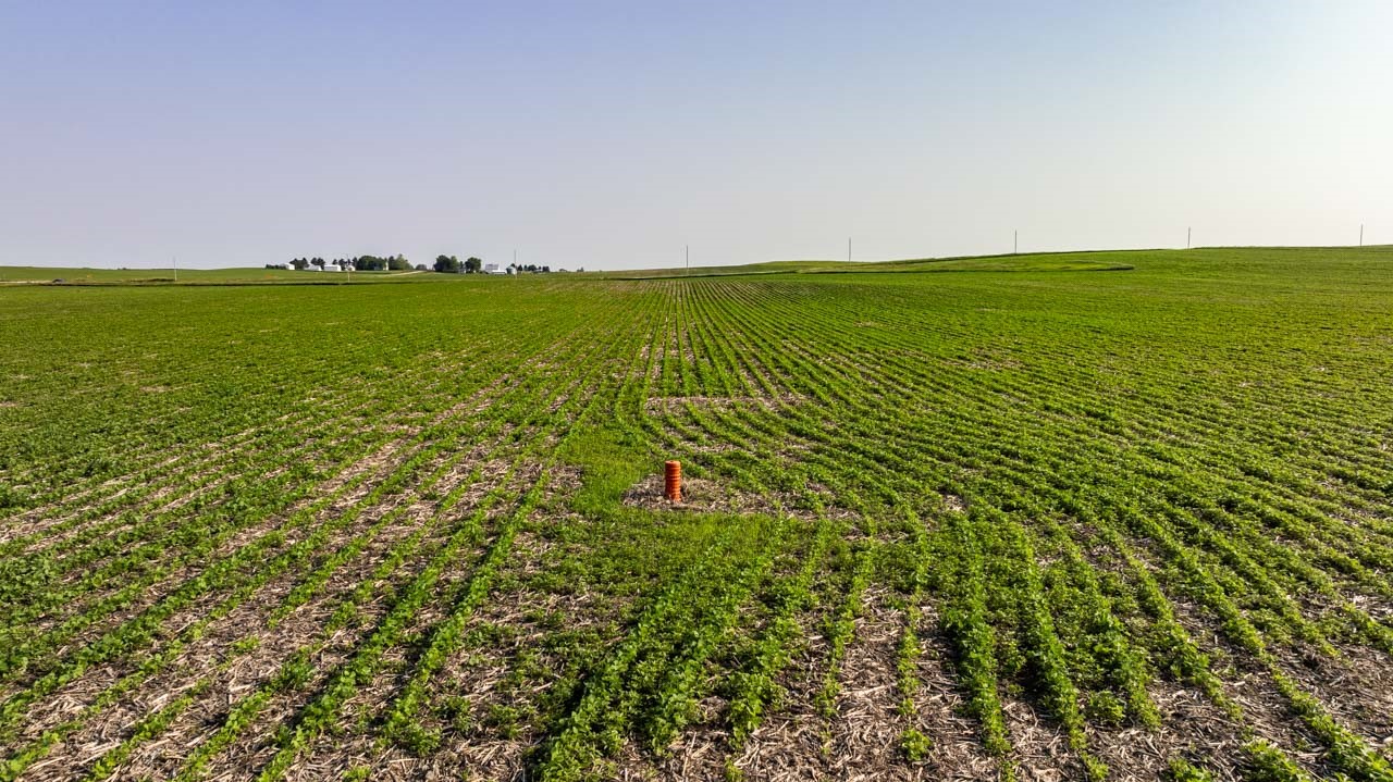 TBD Quail Road, Bagley, Iowa image 10