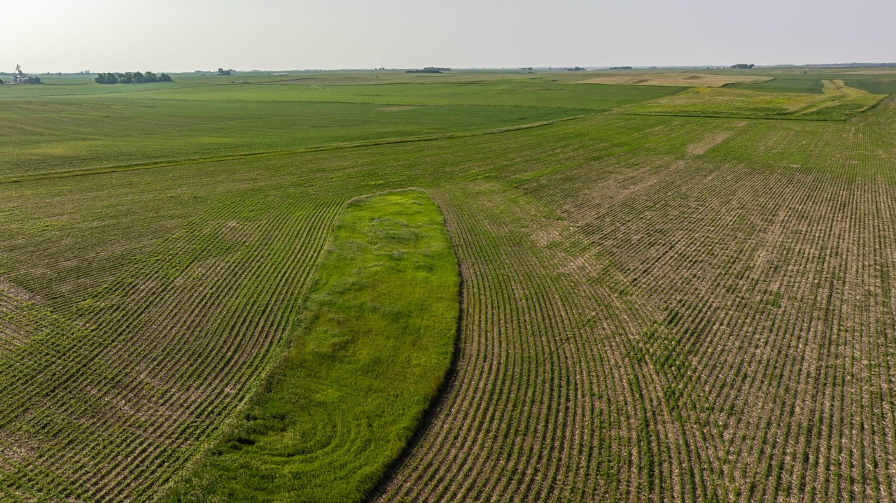 TBD Quail Road, Bagley, Iowa image 9