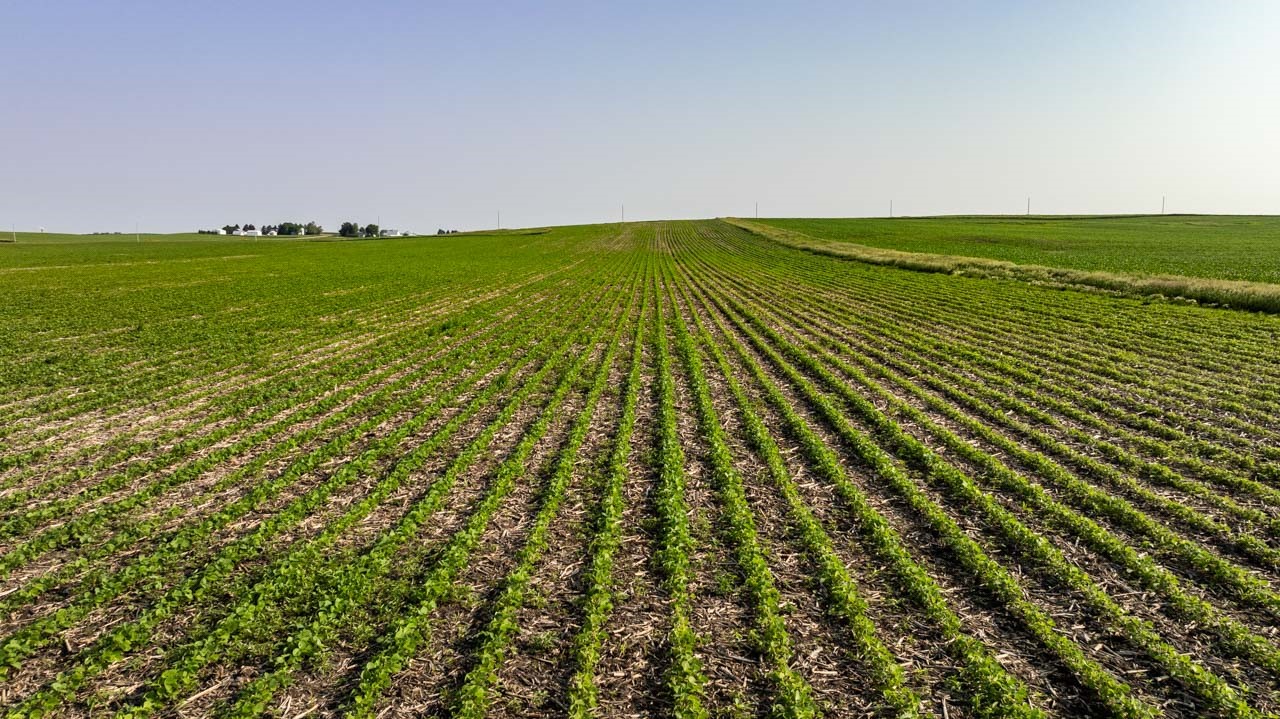 TBD Quail Road, Bagley, Iowa image 13