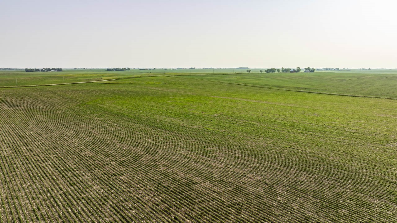 TBD Quail Road, Bagley, Iowa image 17