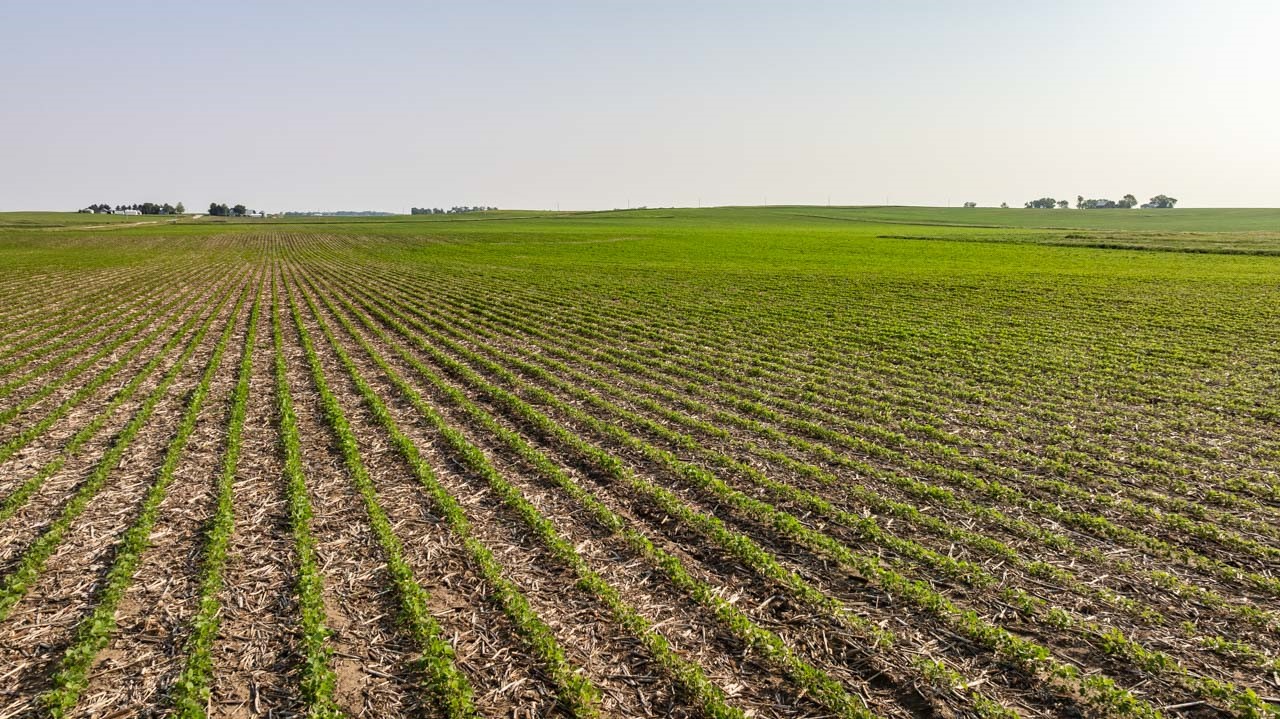 TBD Quail Road, Bagley, Iowa image 16