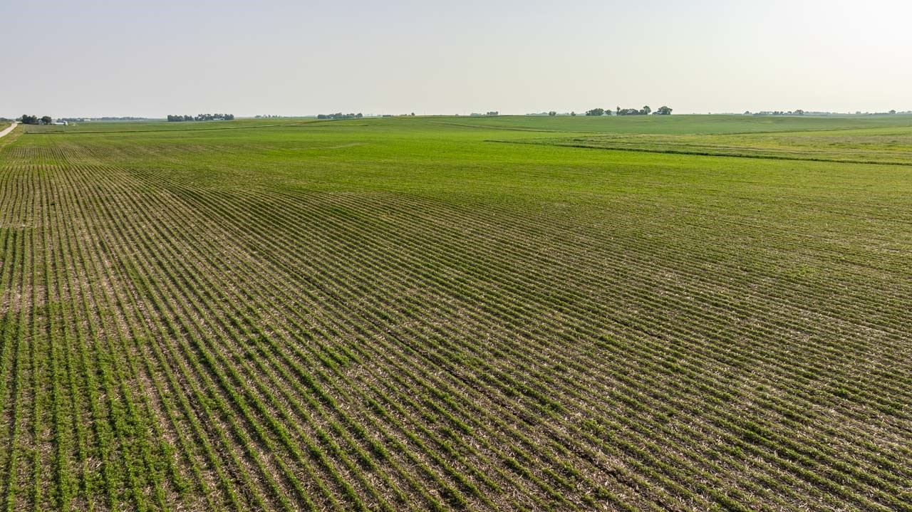 TBD Quail Road, Bagley, Iowa image 15