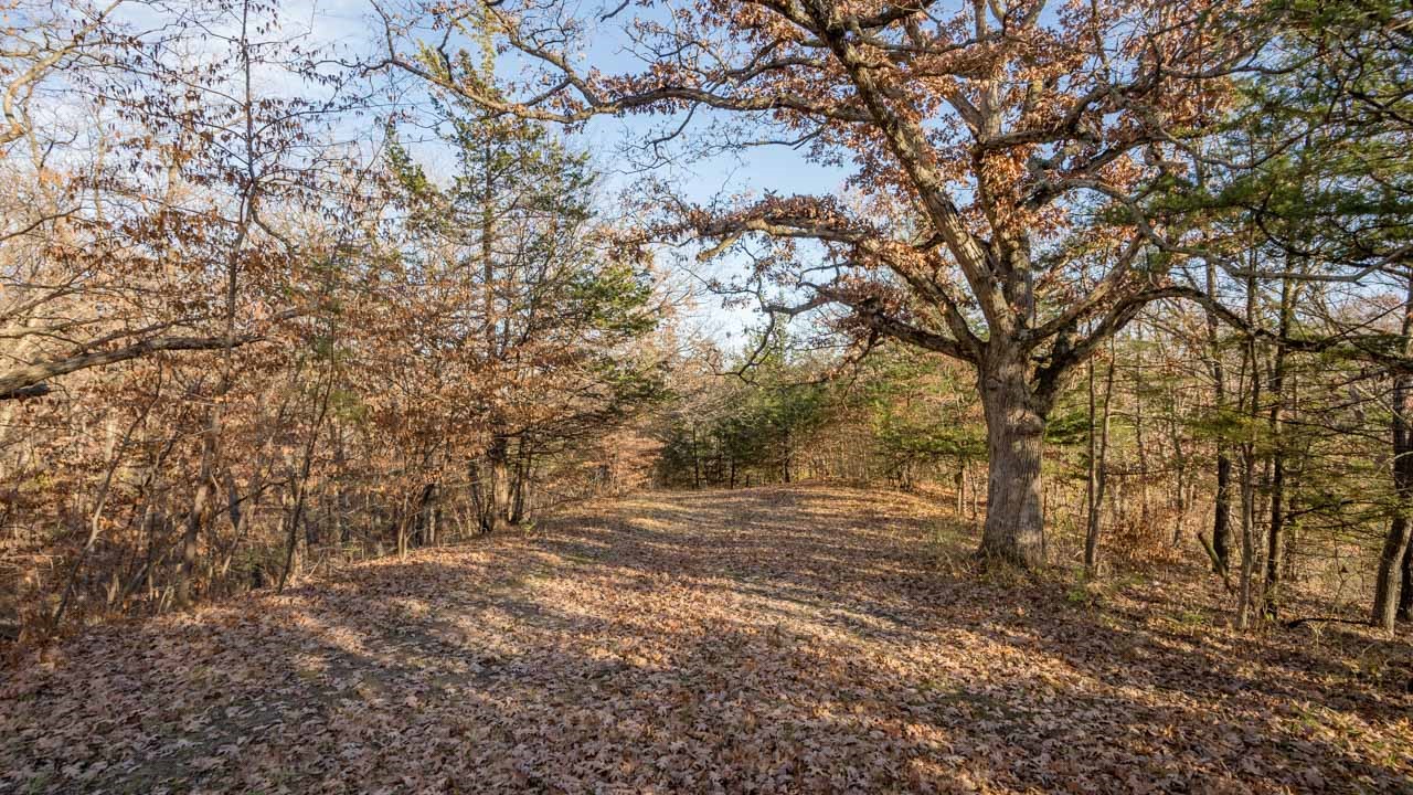 17076 Mourning Dove Drive, Earlham, Iowa image 34