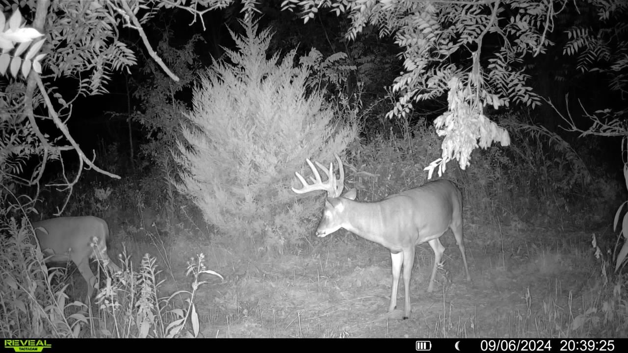 000 Starline Avenue, New Virginia, Iowa image 8