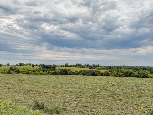 WINDWOOD AVE, SAINT CHARLES, IA 50240 - Image 3399bd27da275e7ece63b9aa8dafcf9a/2259855361