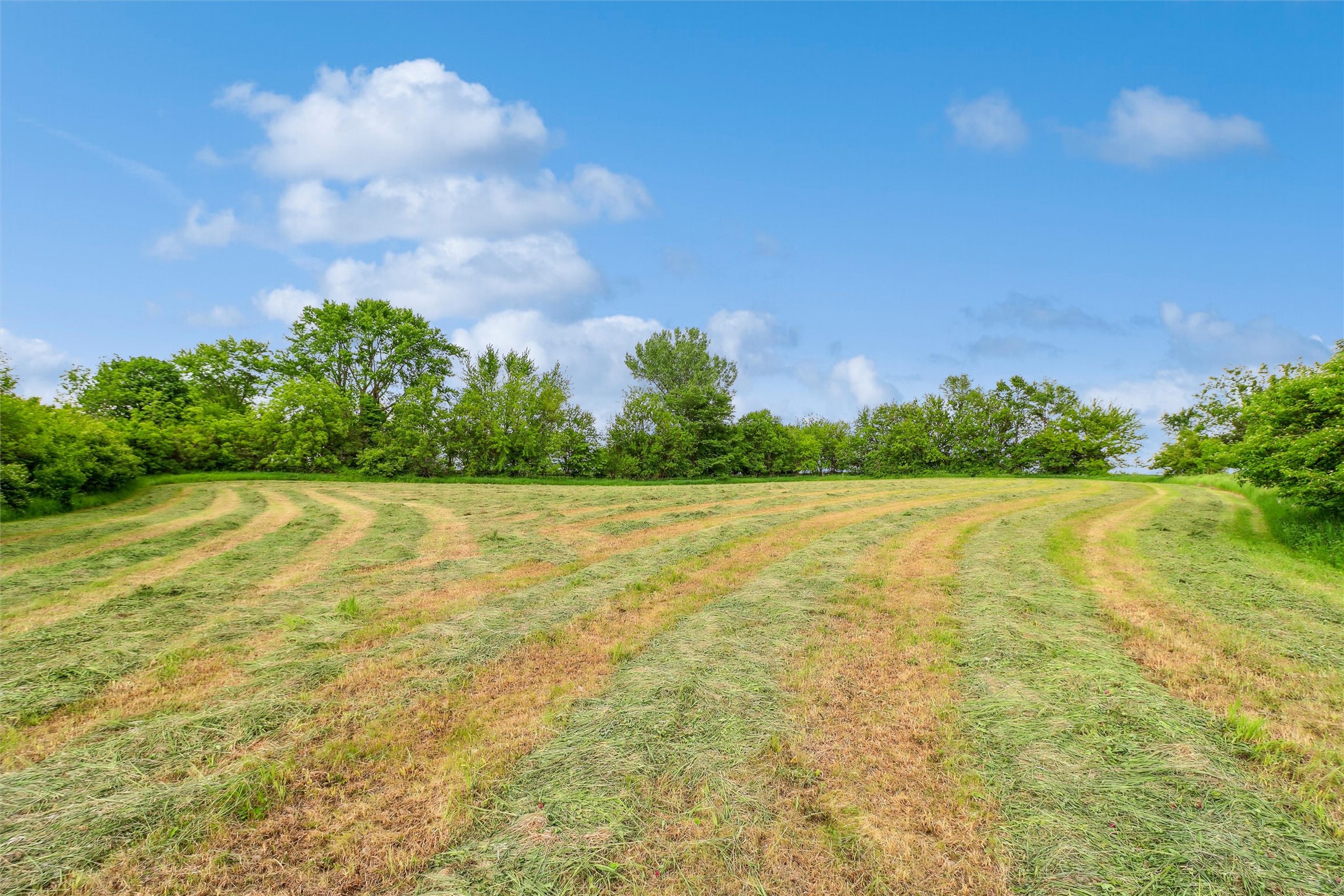 30680 T Avenue, Adel, Iowa image 6