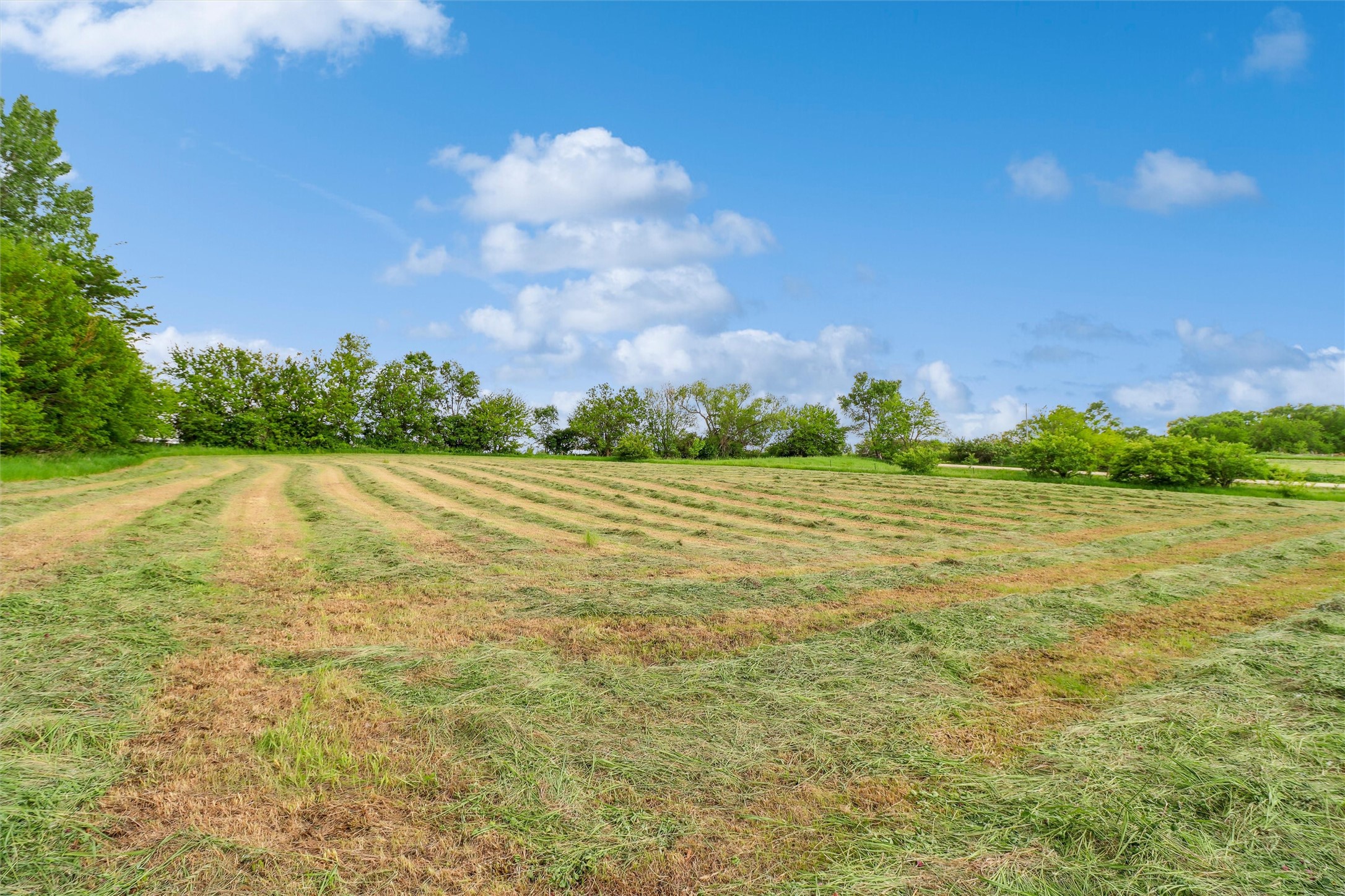 30680 T Avenue, Adel, Iowa image 4