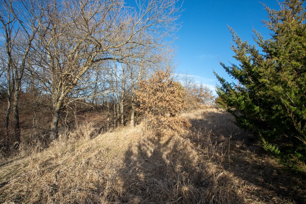 0000 205th Street, Grand River, Iowa image 15