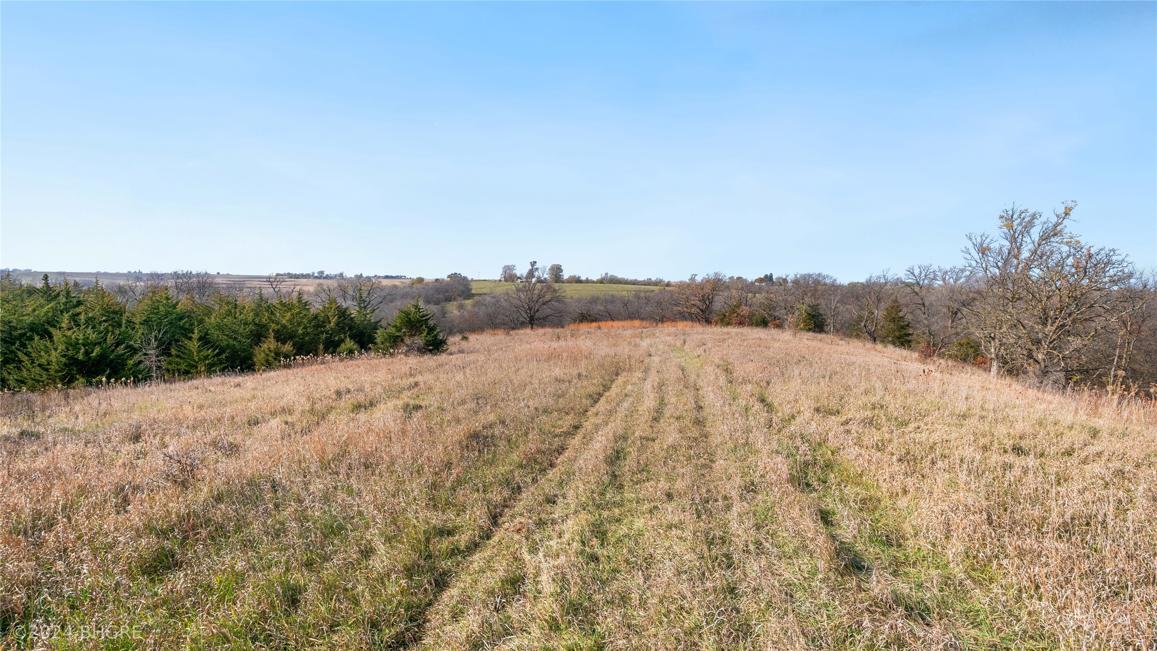 32700 BLK Tulip Trail, Menlo, Iowa image 3