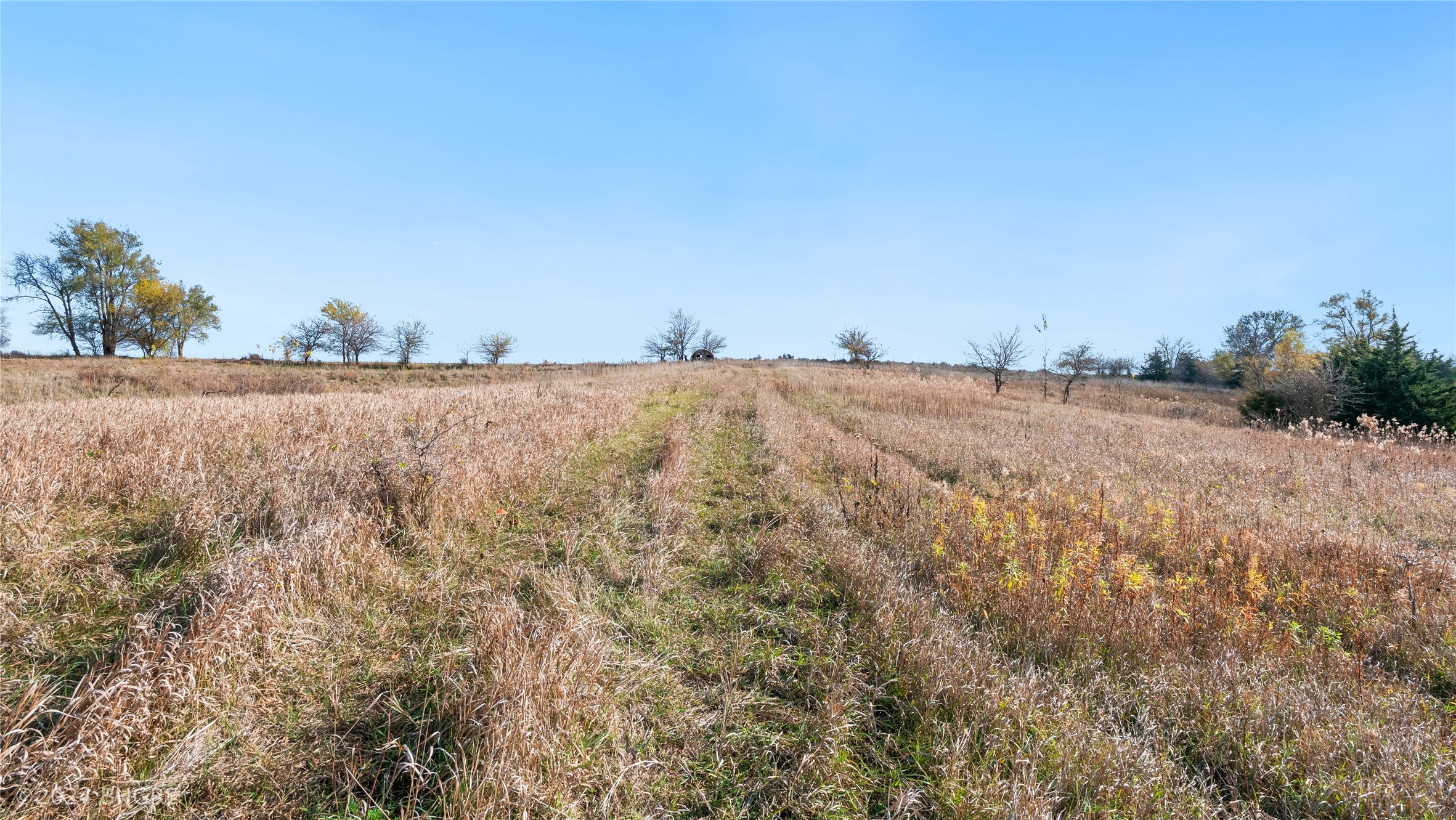 32700 BLK Tulip Trail, Menlo, Iowa image 4