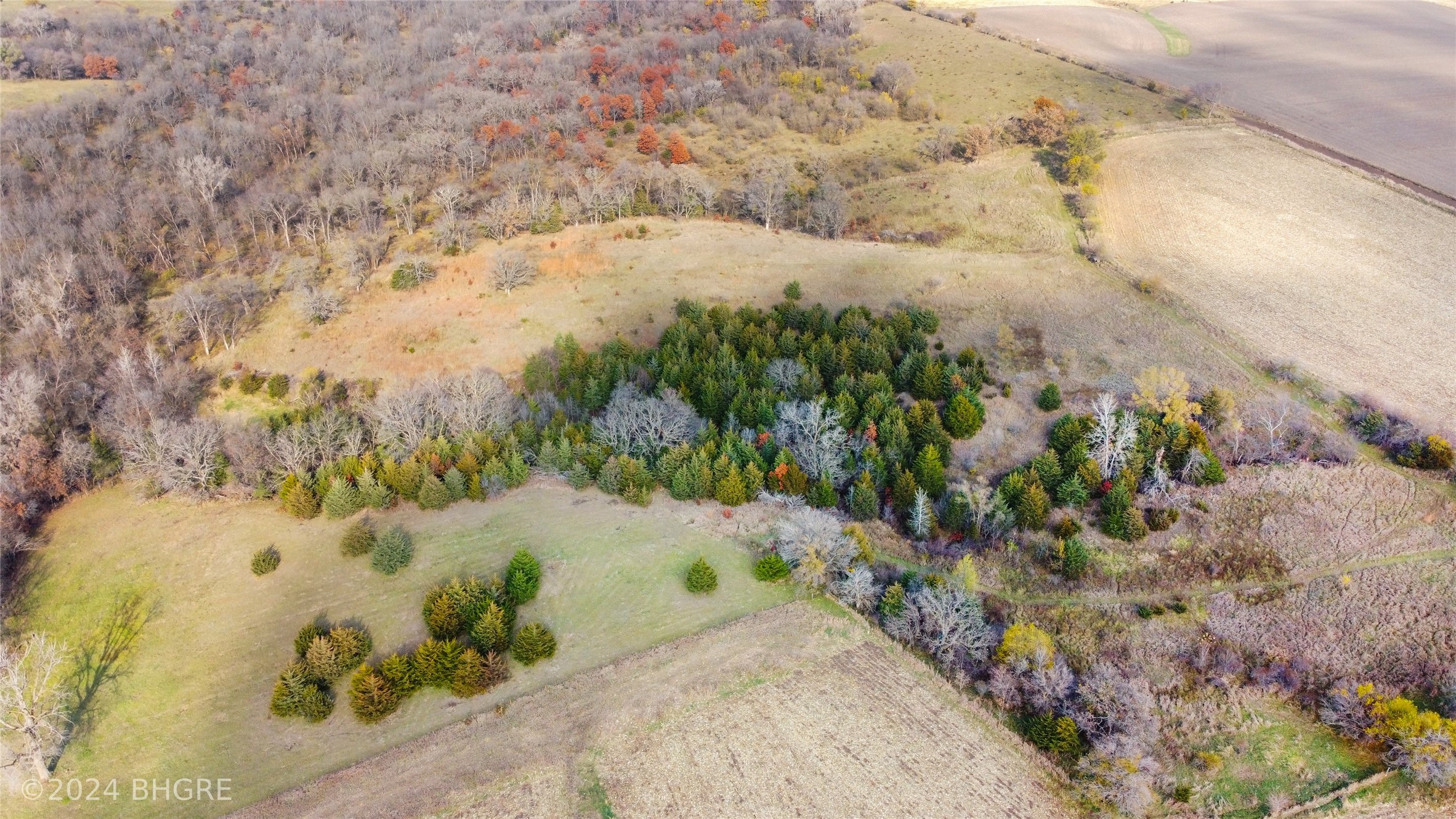 32700 BLK Tulip Trail, Menlo, Iowa image 8