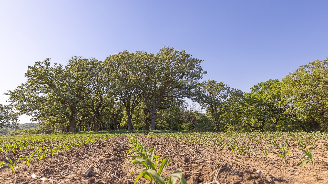 2183 208th Lane, Logan, Iowa image 33