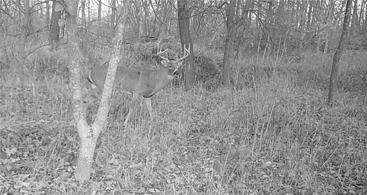 000 270 Avenue, Chariton, Iowa image 8