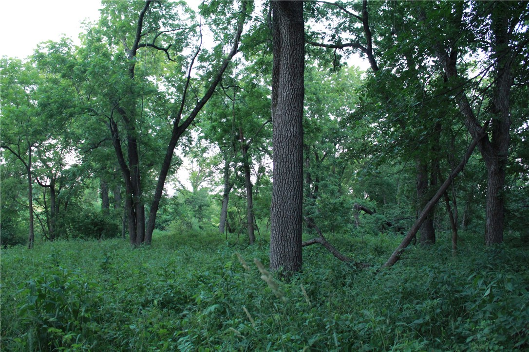 000 270 Avenue, Chariton, Iowa image 16