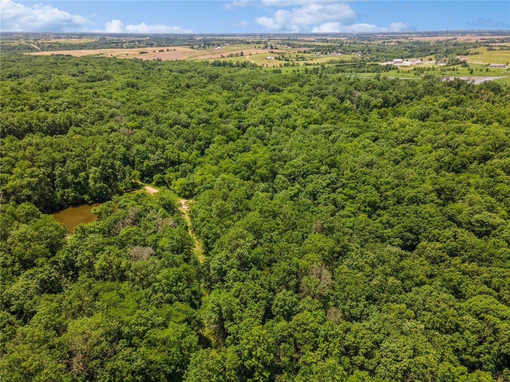 Approx 20 Acres M/L 235th Trail, Chariton, Iowa image 2