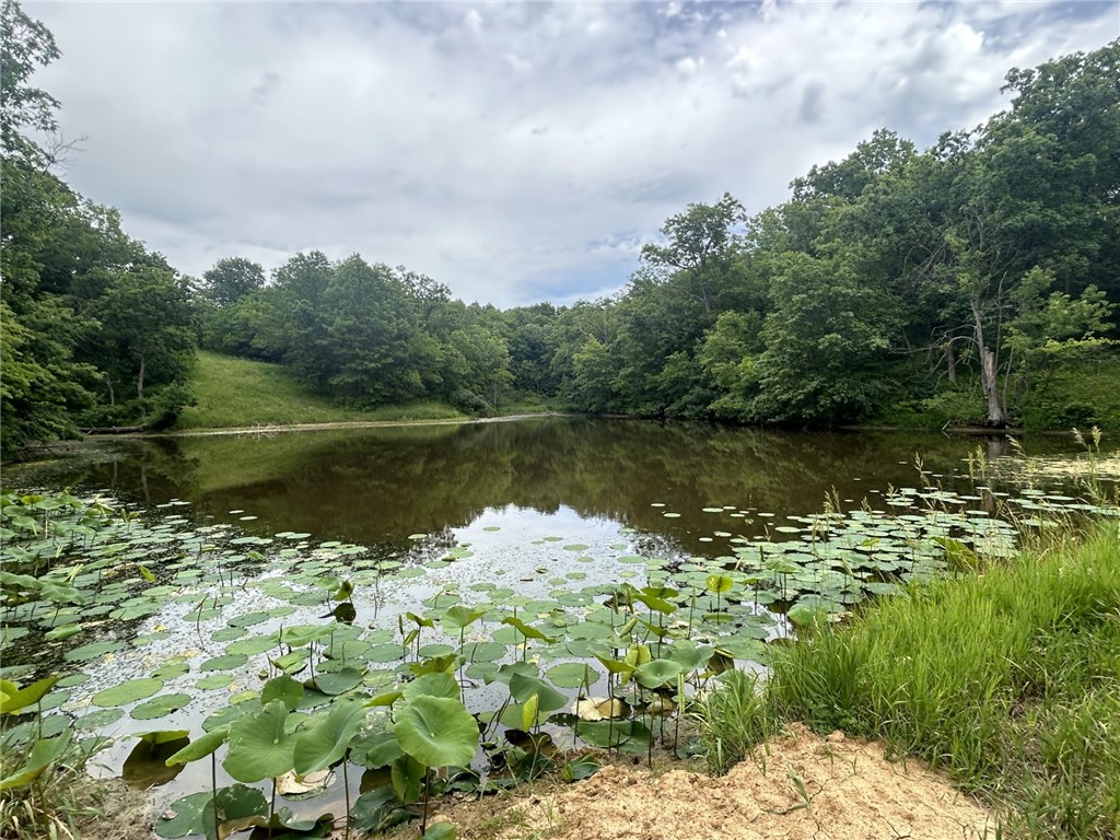 Approx 20 Acres M/L 235th Trail, Chariton, Iowa image 5