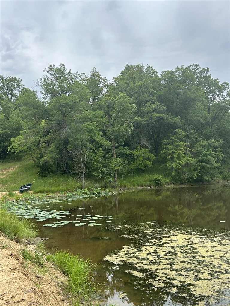 Approx 20 Acres M/L 235th Trail, Chariton, Iowa image 6