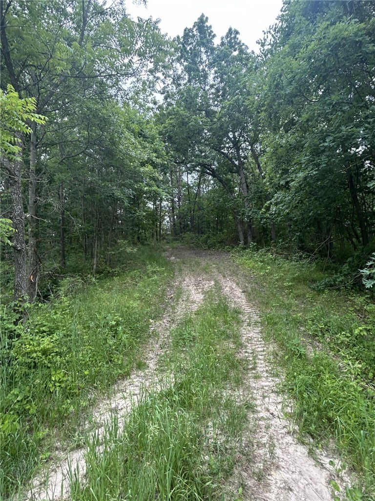 Approx 20 Acres M/L 235th Trail, Chariton, Iowa image 9