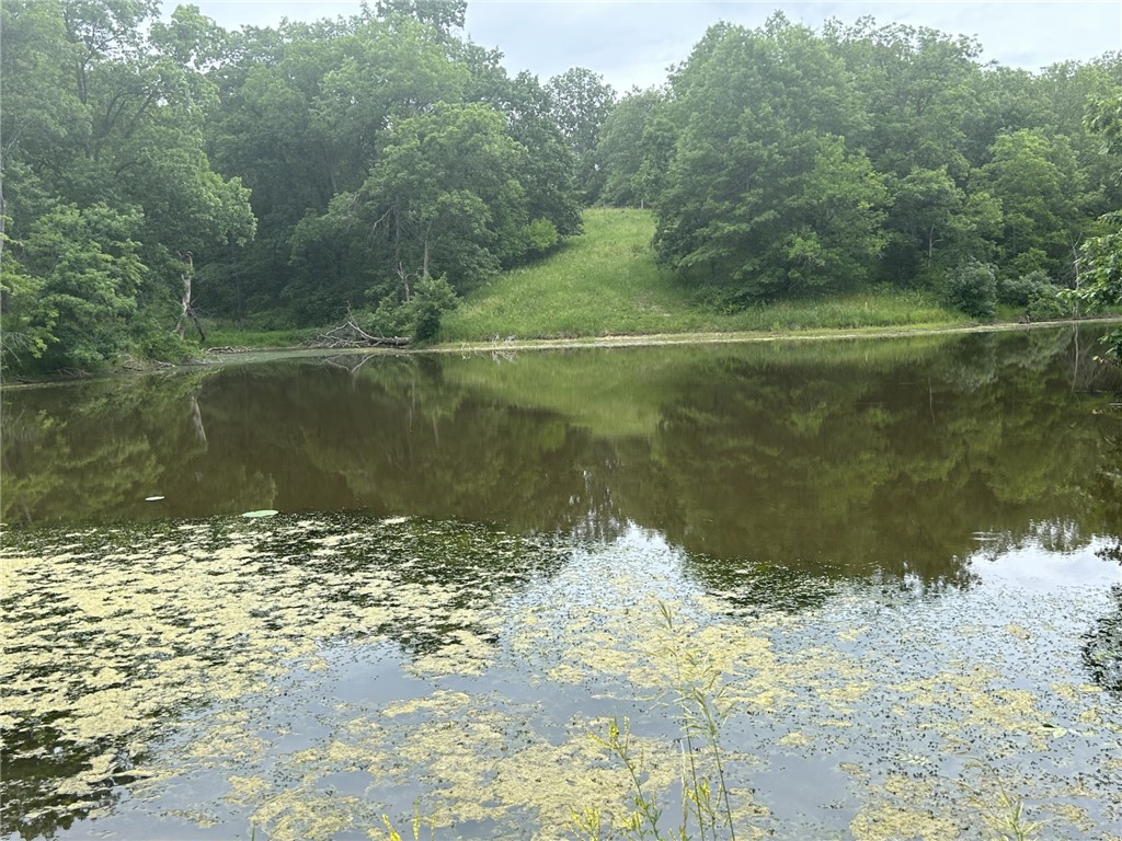 Approx 20 Acres M/L 235th Trail, Chariton, Iowa image 1