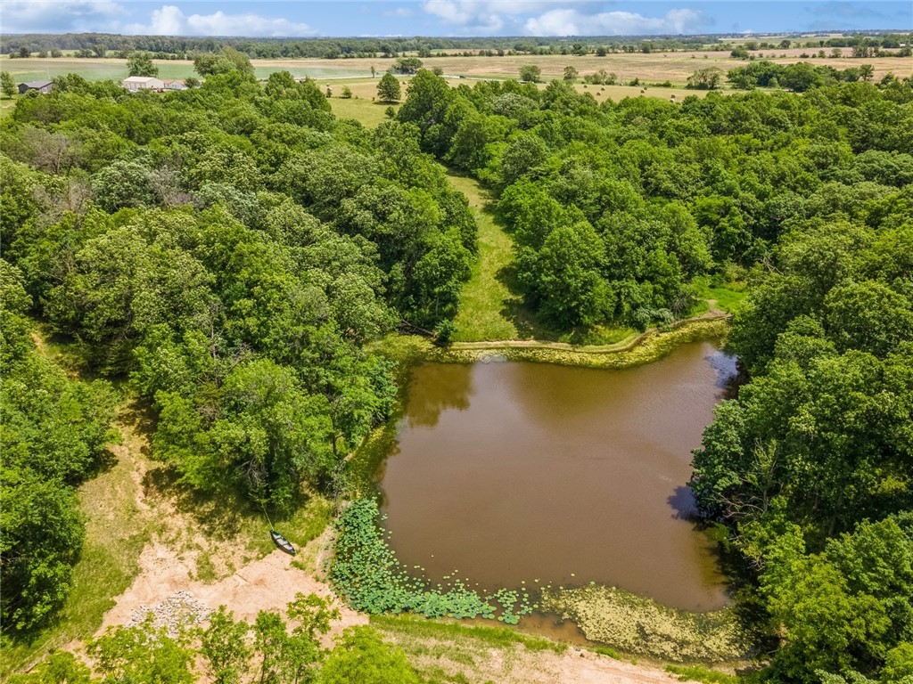 Approx 20 Acres M/L 235th Trail, Chariton, Iowa image 4