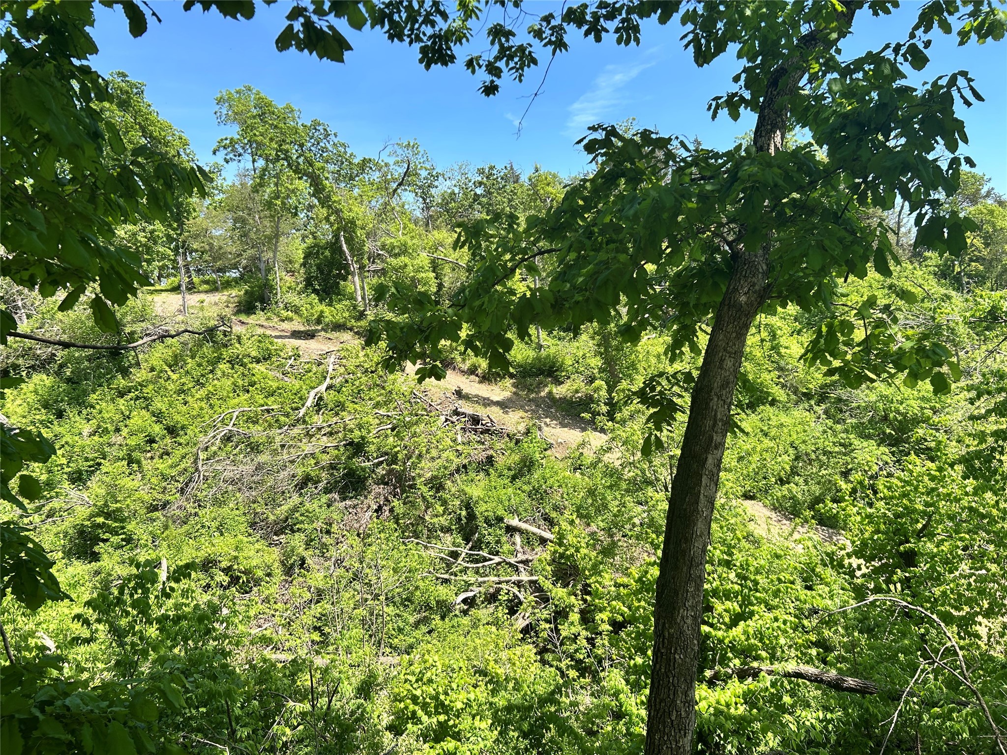TBD Carver Road, Winterset, Iowa image 18