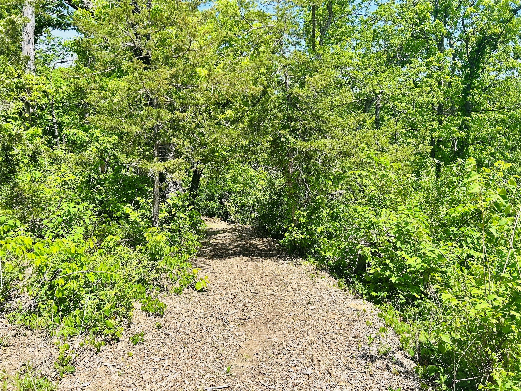 TBD Carver Road, Winterset, Iowa image 14