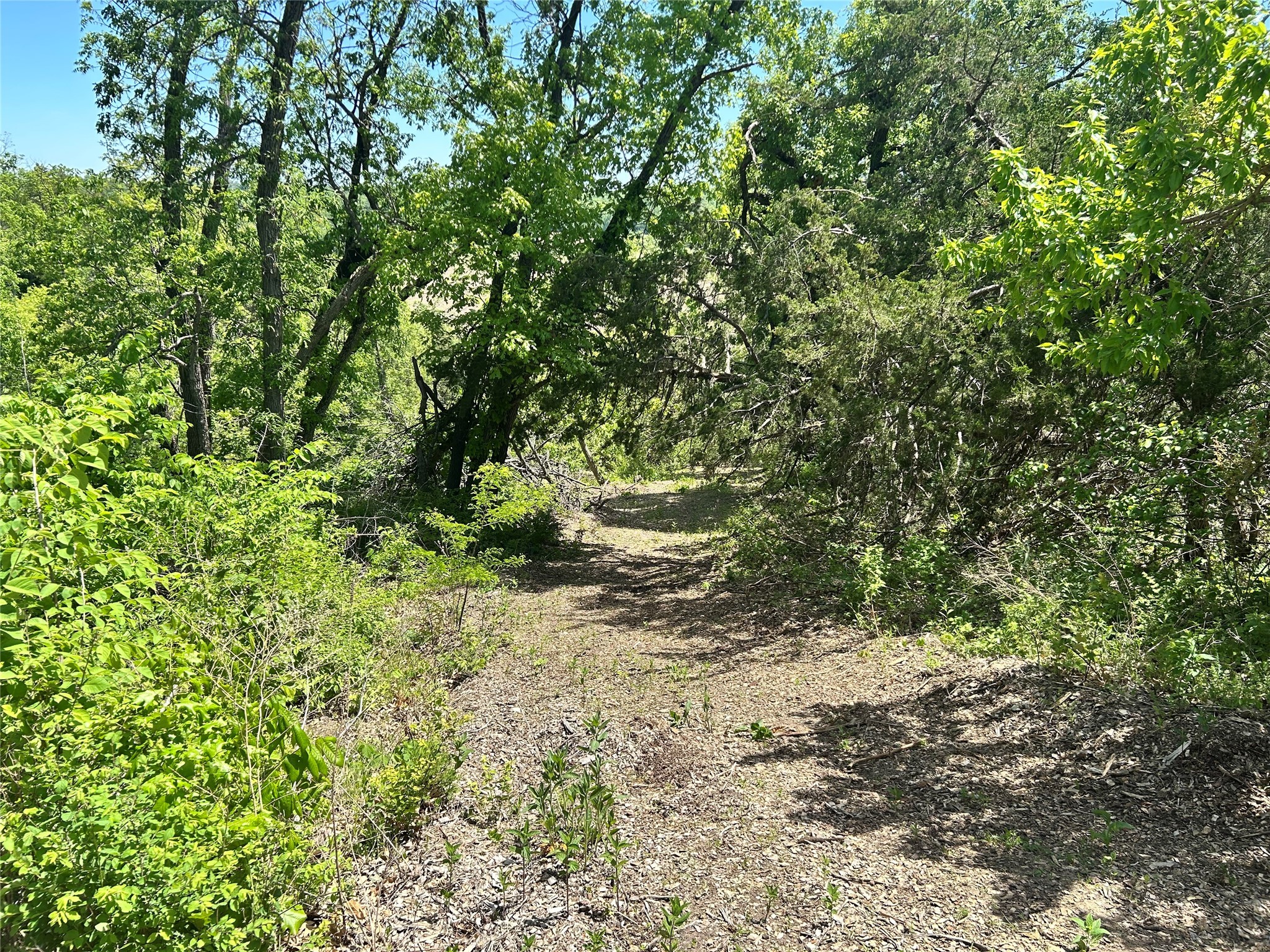 TBD Carver Road, Winterset, Iowa image 21