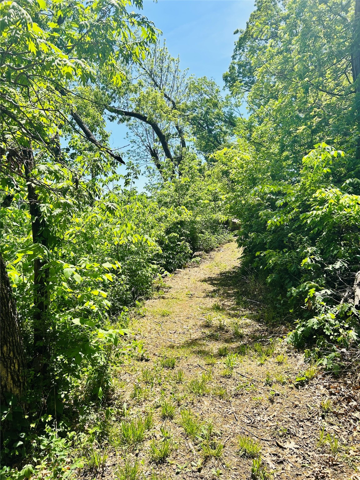 TBD Carver Road, Winterset, Iowa image 19