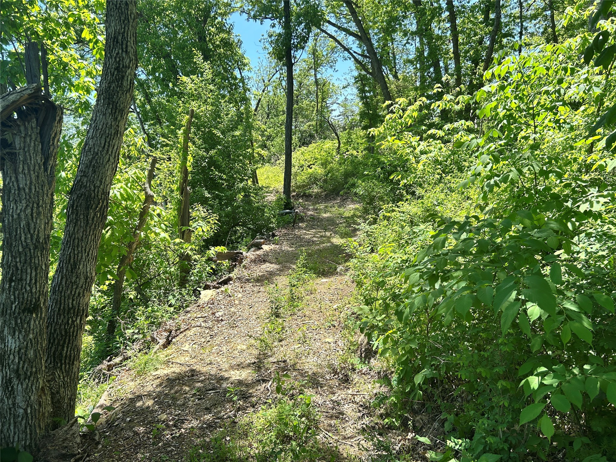 TBD Carver Road, Winterset, Iowa image 17