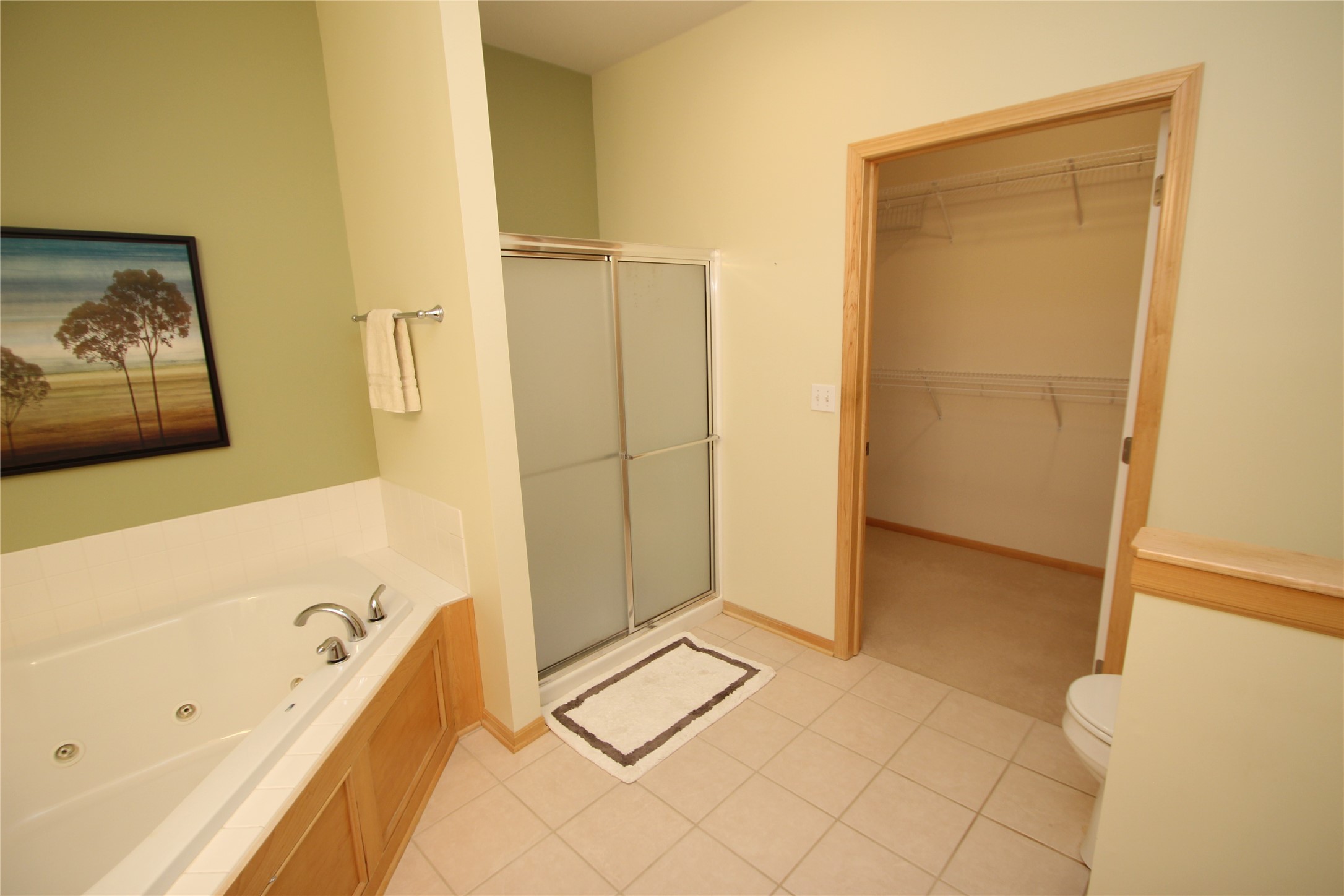 2148 SW 35th Street, Ankeny, Iowa image 14