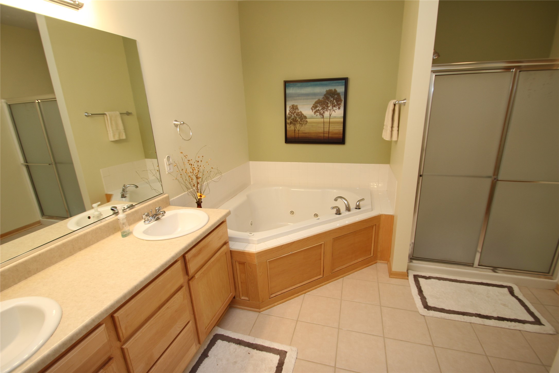 2148 SW 35th Street, Ankeny, Iowa image 13