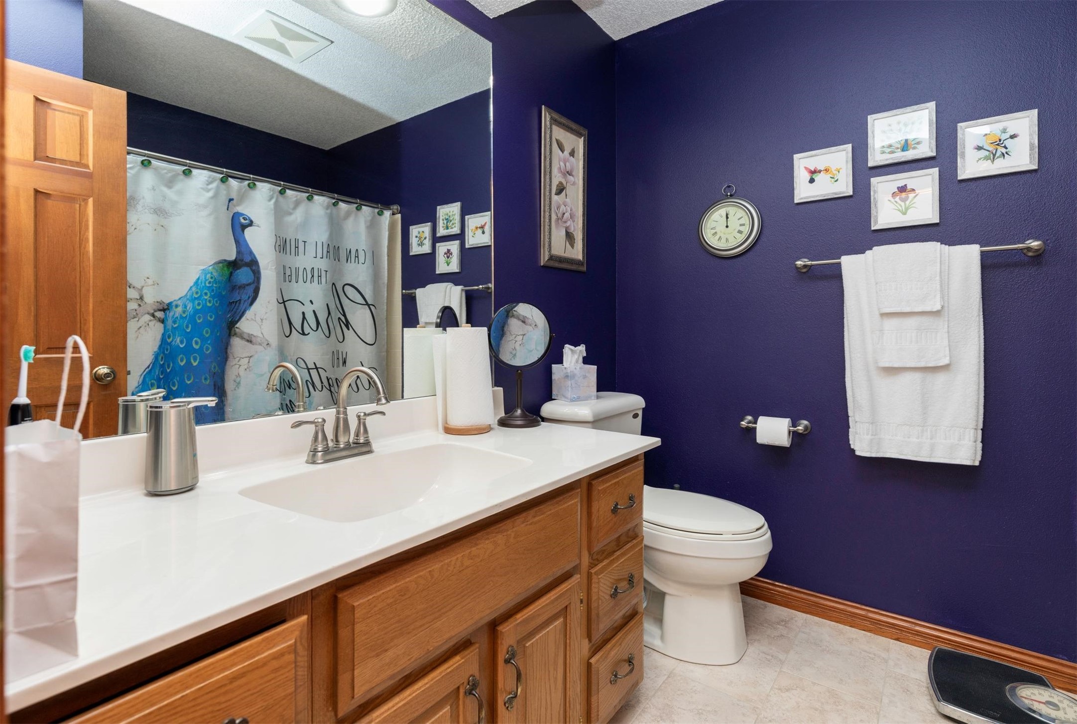 1113 SE Rio Drive, Ankeny, Iowa image 13
