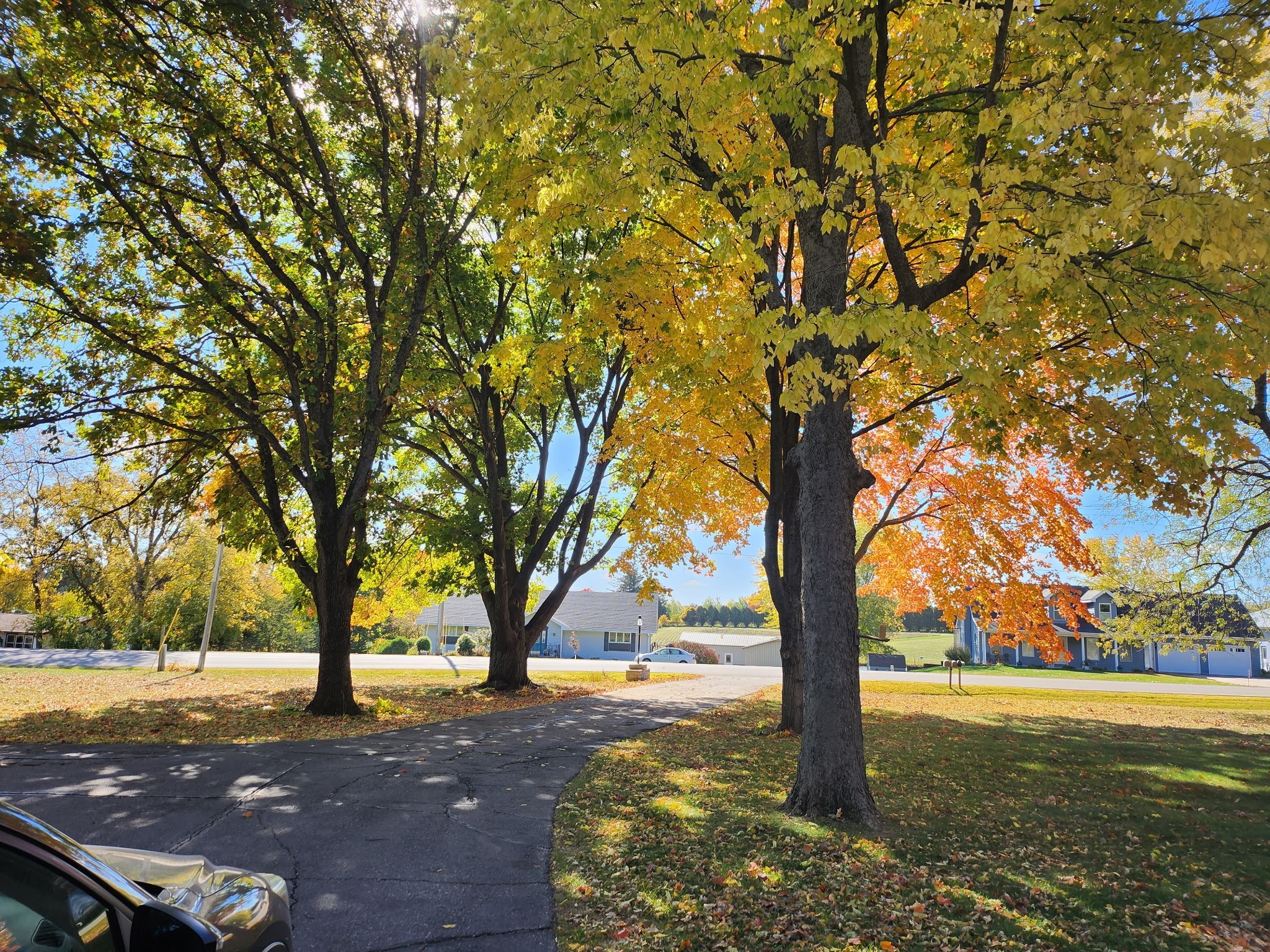 641 228th Place, Pella, Iowa image 3