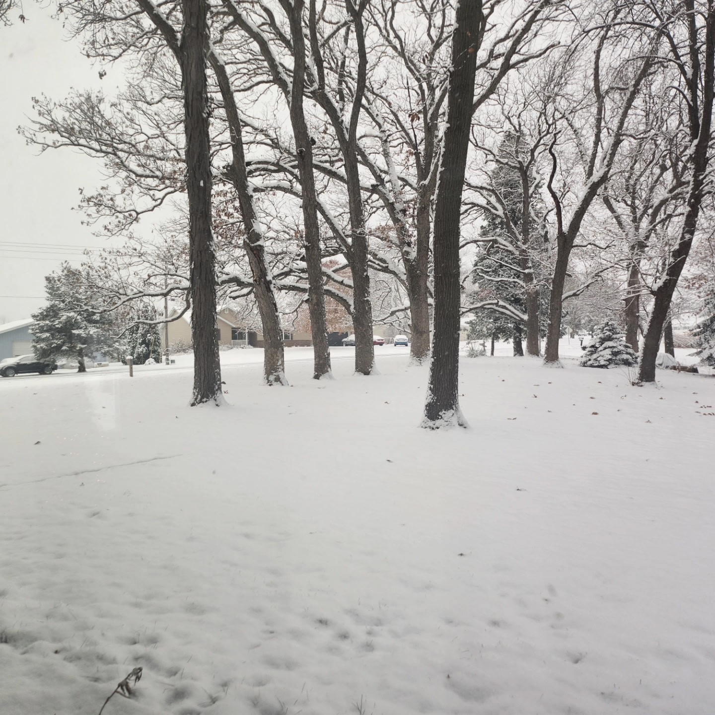 641 228th Place, Pella, Iowa image 8