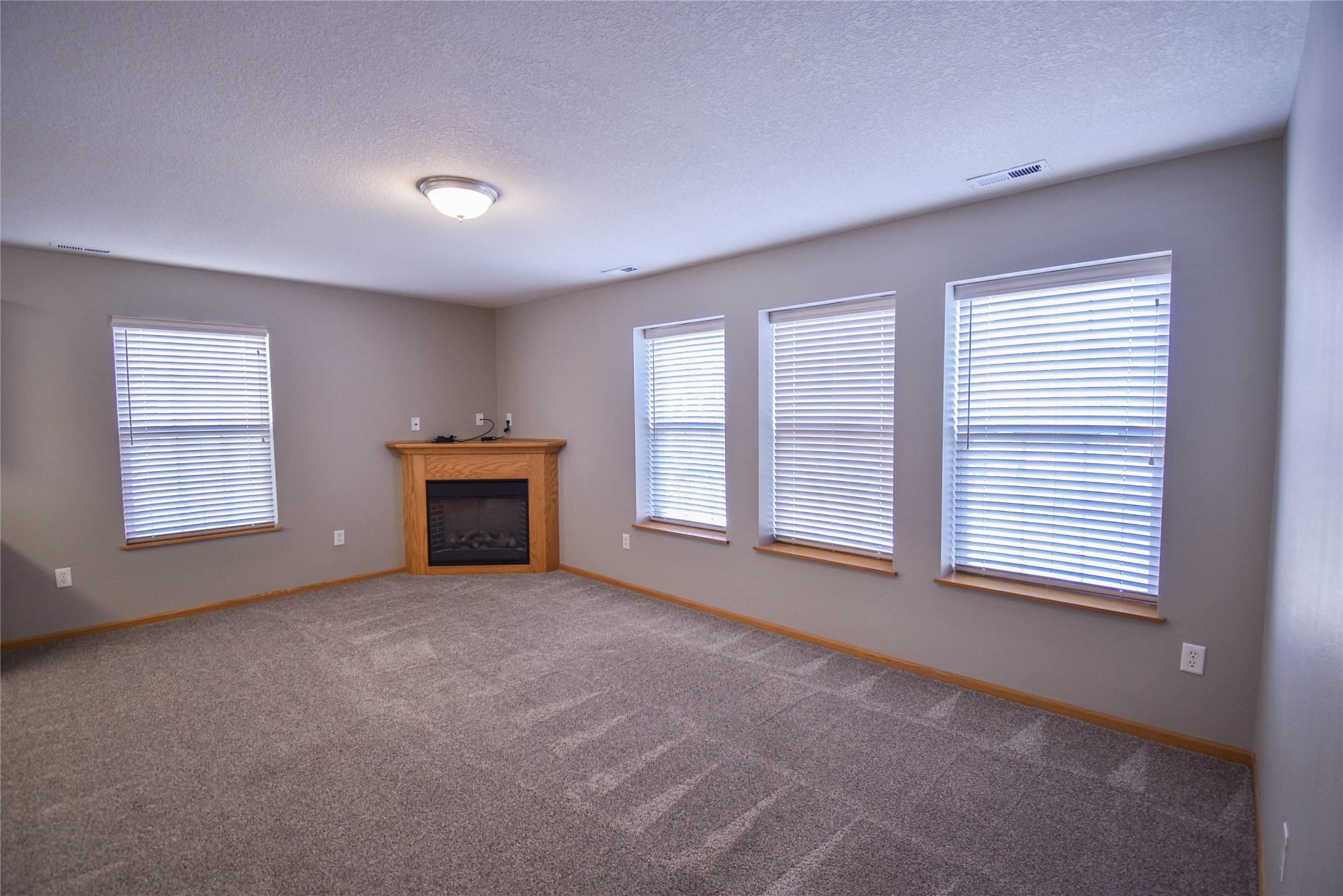 310 NE Olivewood Drive, Waukee, Iowa image 6