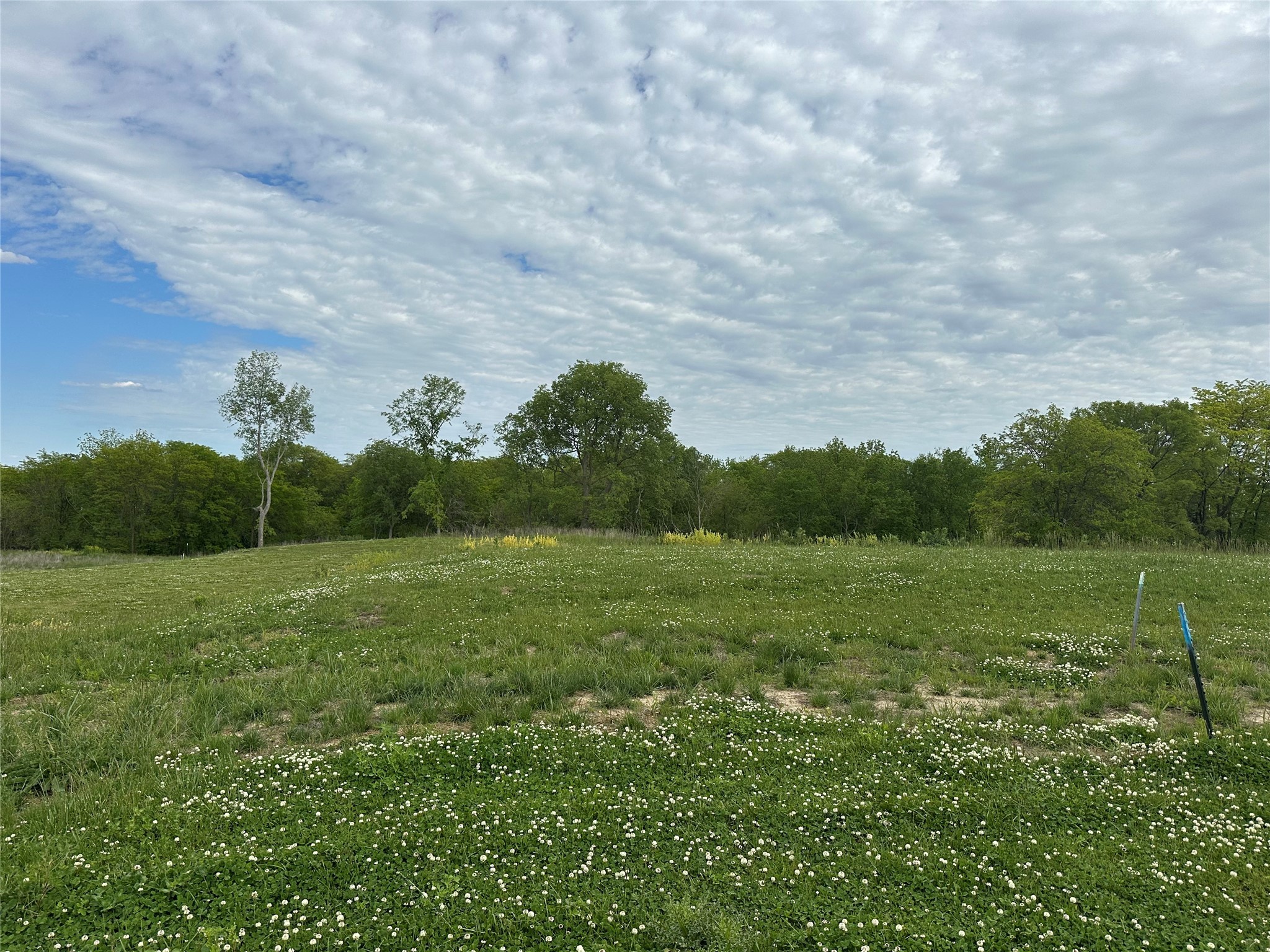 3527 NW 183rd Street, Clive, Iowa image 6