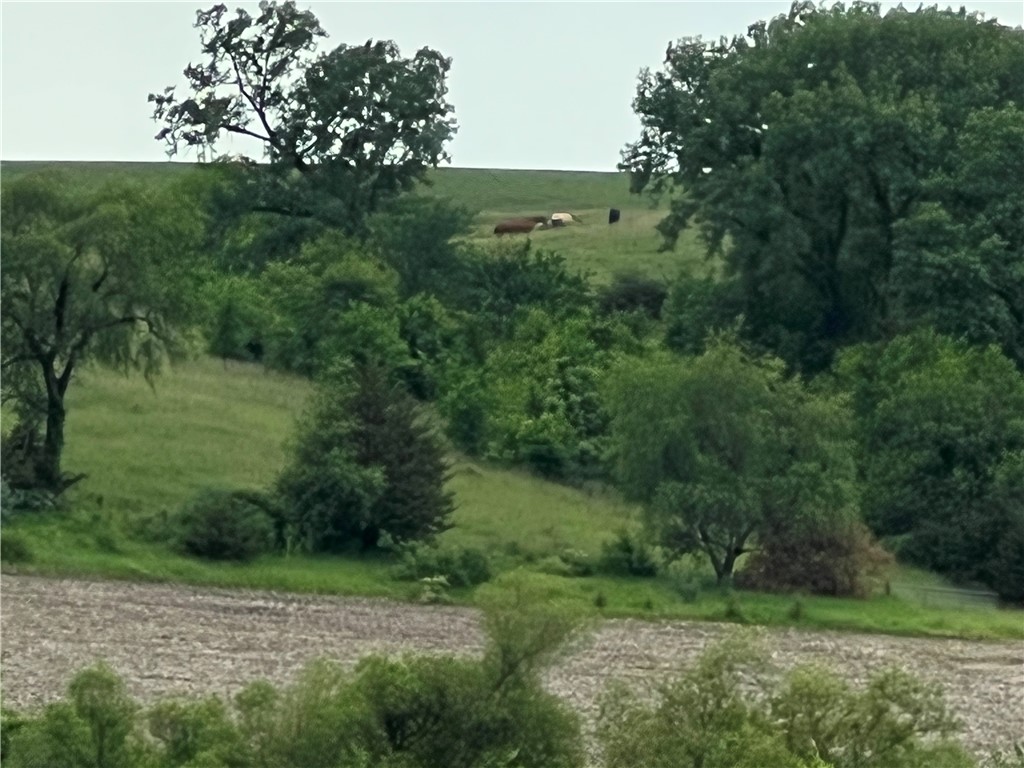 Lot 1 210th Avenue, Milo, Iowa image 9