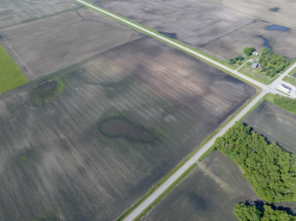 NE 142nd Avenue, Alleman, Iowa image 5
