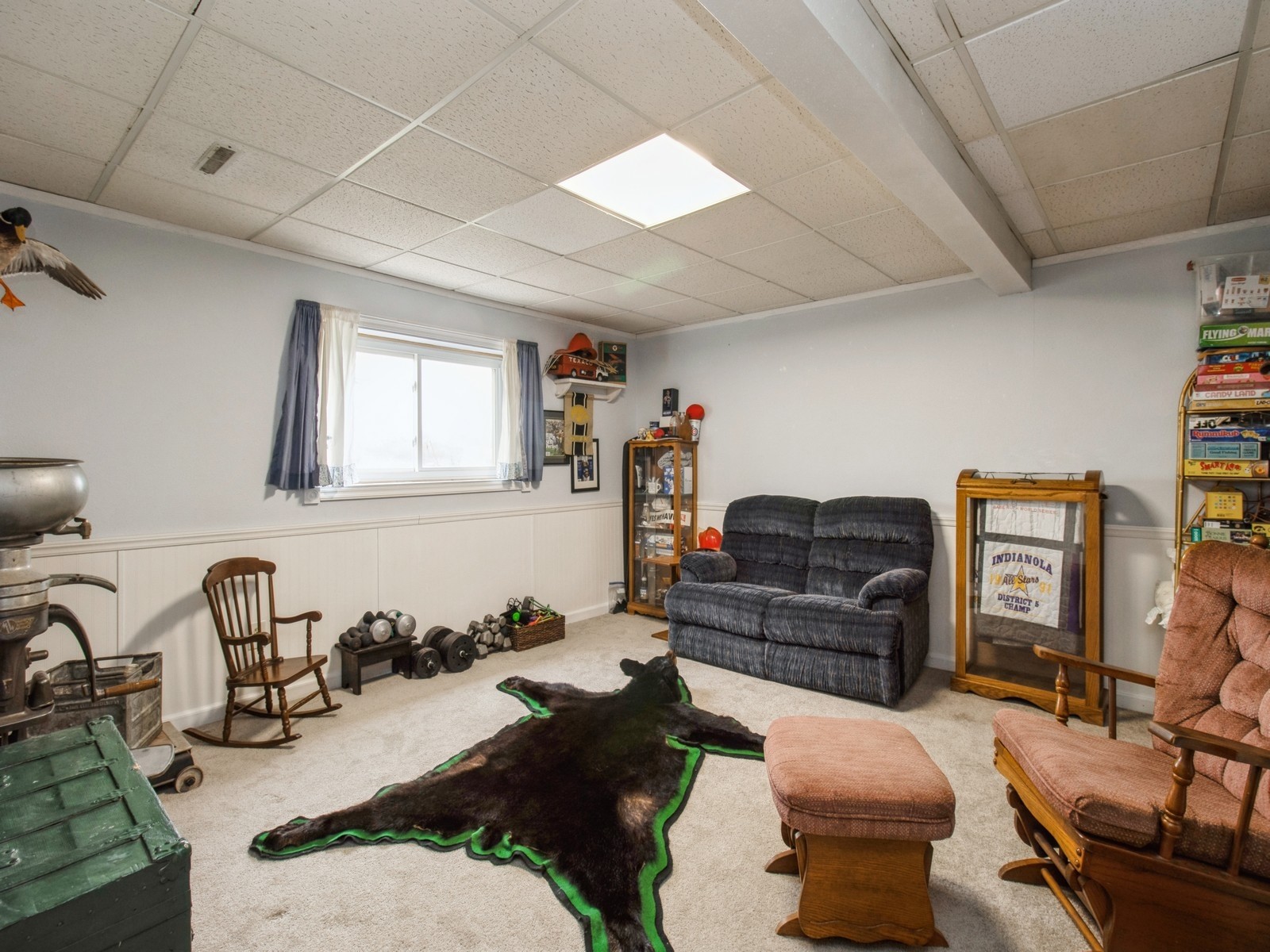1245 S 5th Street, Carlisle, Iowa image 22