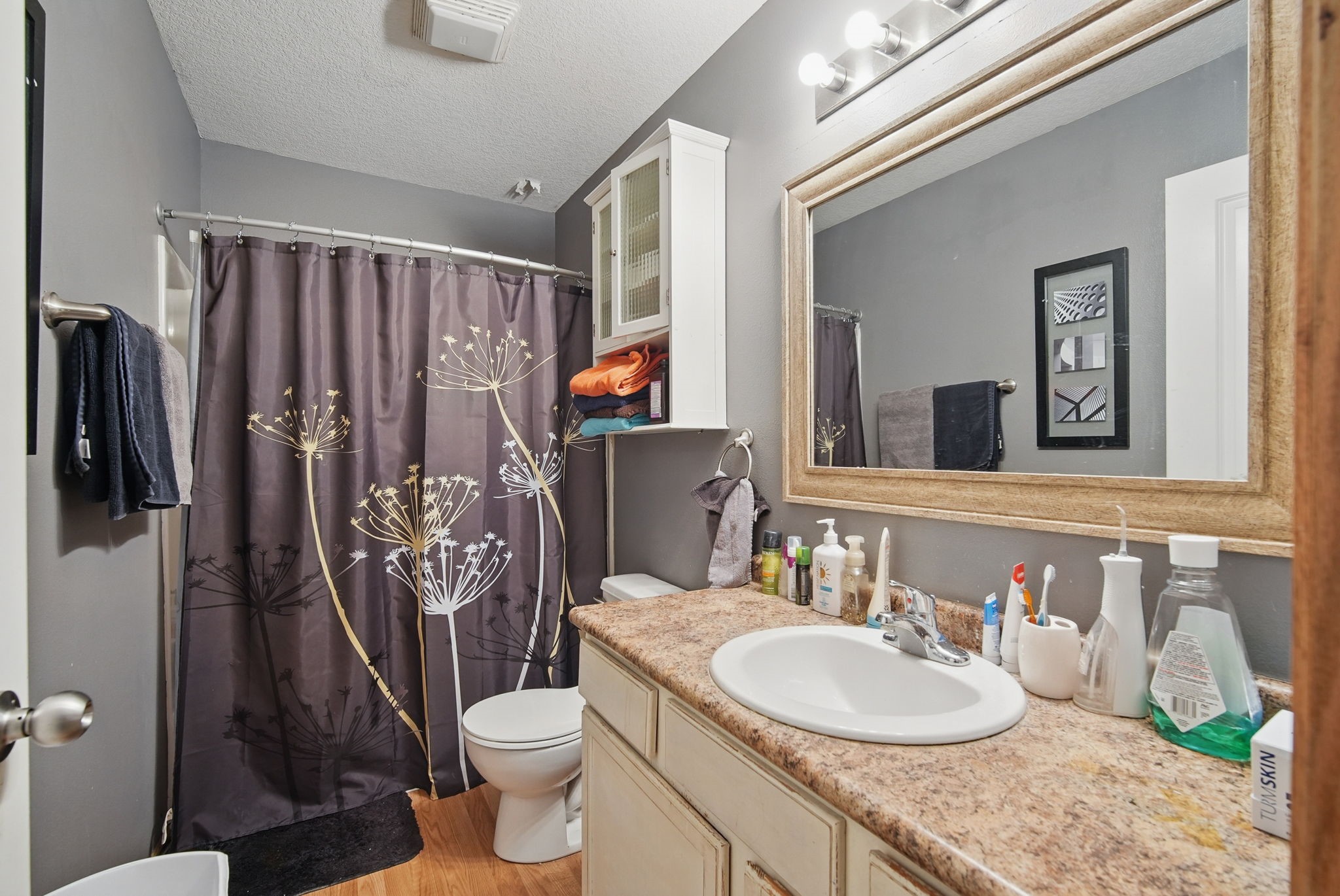 3105 SW Arlan Lane, Ankeny, Iowa image 10