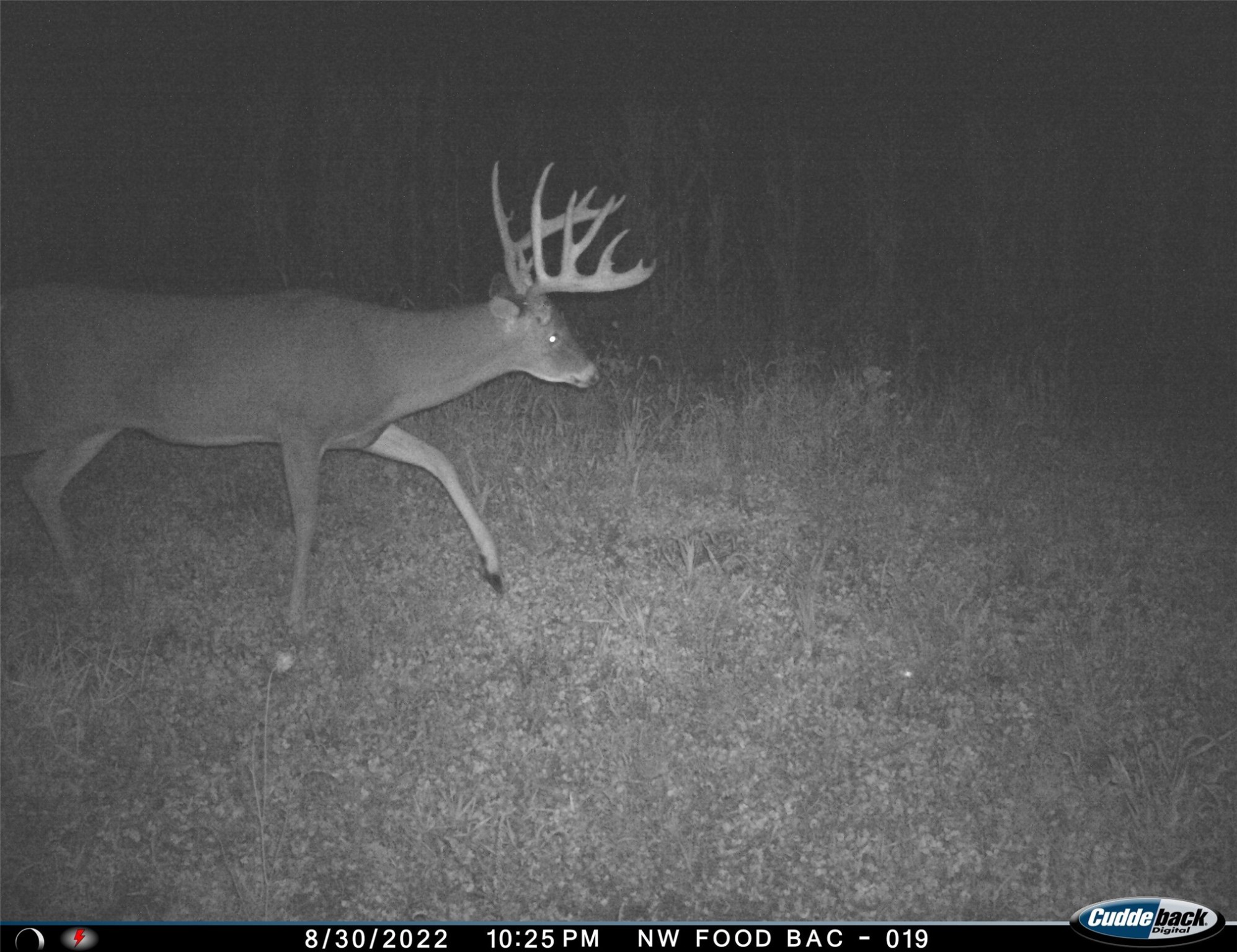 411 NE 2nd Street, Stuart, Iowa image 15