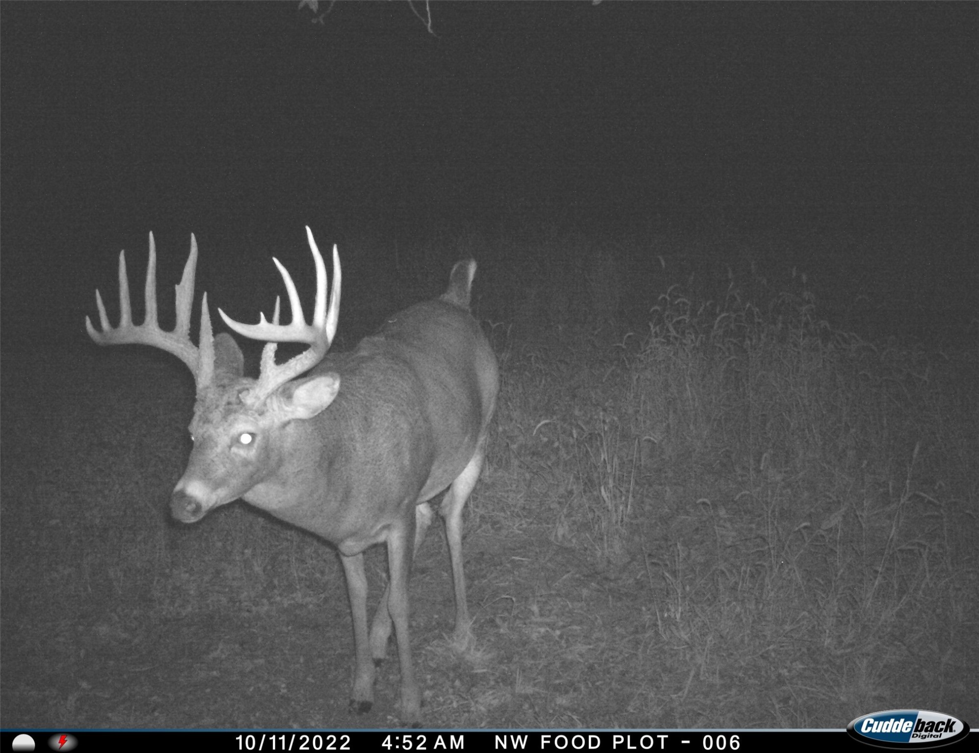 411 NE 2nd Street, Stuart, Iowa image 12